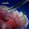 image:imageWaterpik Water Flosser Implant Denture Replacement Tips 2 Count DT100E  Genuine Waterpik Brand Refill Nozzles Heads for Fixed Implant Bridges amp Dentures Assorted Colors Replace Every 6 Months2 Count Pack of 1